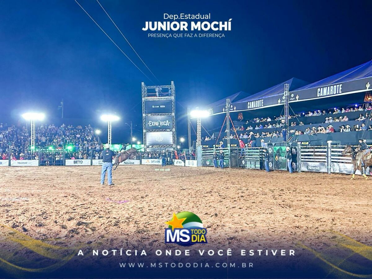 Imagem da Galeria